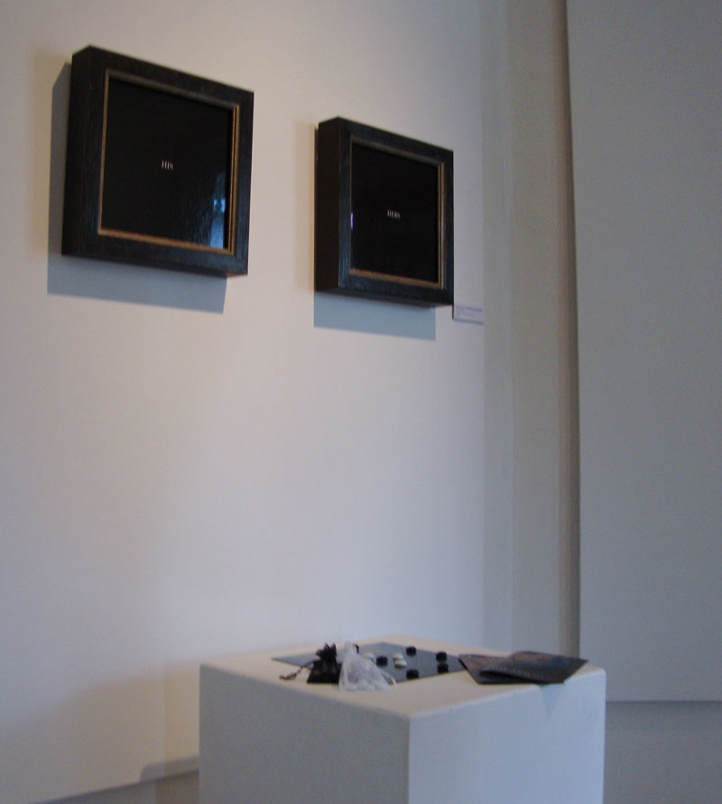 Installation Community Arts Network Oneonta